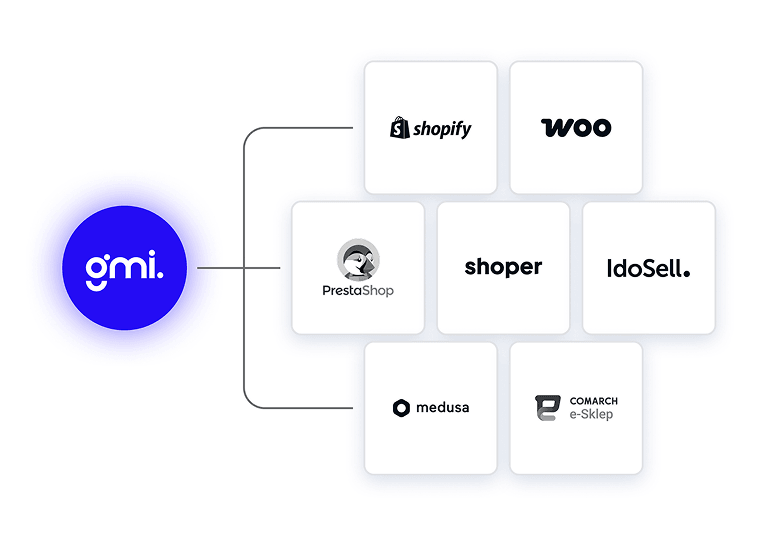 External solutions integrations - ikona usługi GMI Software
